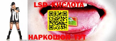 MDMA Premium VHQ Заводоуковск